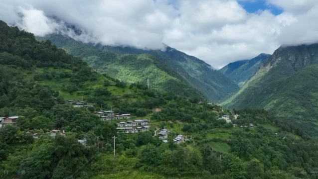 维西县中路乡腊八山村：致富路上兰花香