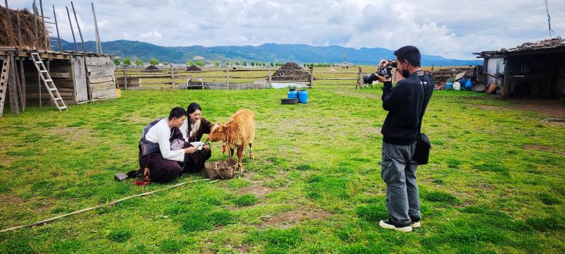 尼史村牧场小院受欢迎