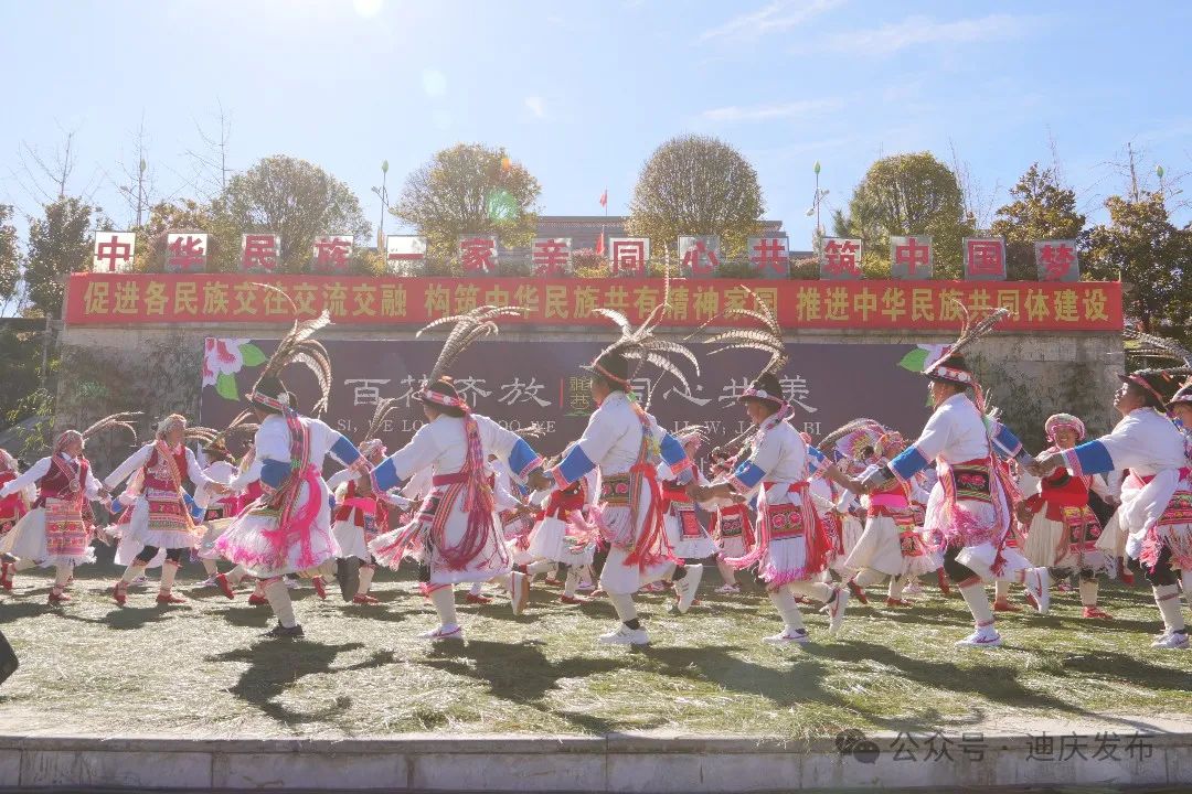 阿啧啧~维西阔时节真热闹→