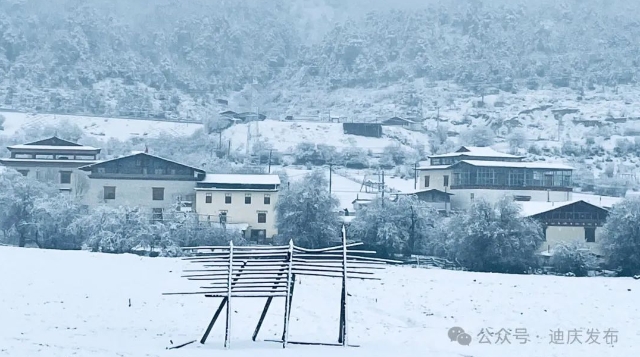 香格里拉：暮春飞雪 美景如画